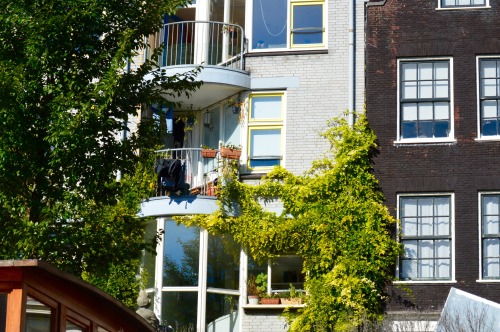 Amsterdam Windows 09