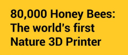 theresultsofprocrastination:  nautical-constructs:  killa-kelly:  emilet:  1los:  Bees are nature’s 3D printer  Fucking bees are the best.  Fuck yes they are.  what the actual fuck bees. why are you engineering geniuses  Wow. 