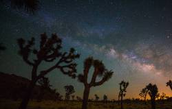 just&ndash;space:  Milky Way Over Joshua Tree National Park, CA  js