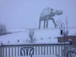 Just a little picture out my friends backyard in my city.
