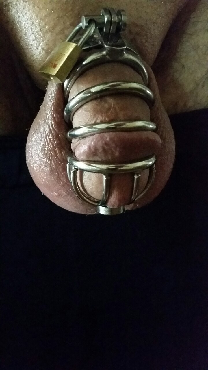 likelythomas: Wife had to leave for work and I am working from home today. Wisely