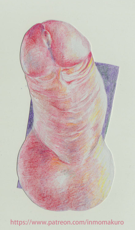 inmomakuro:  colorpencil practice —————————&md