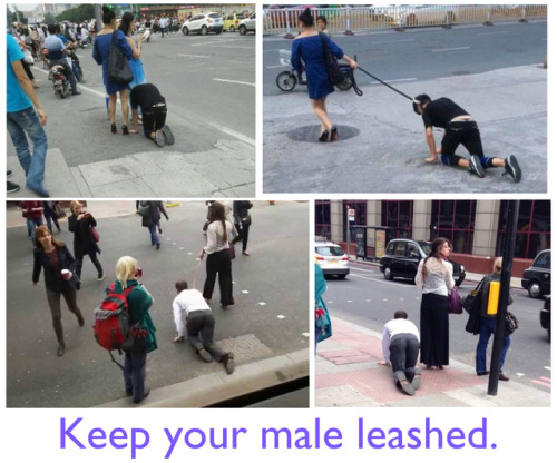 female-supremacy-forever:Hopefully this will become a common sight, as more and more males are leash