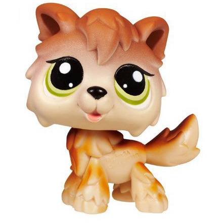 Brown Dog Lps ^__^ 
