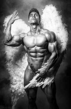 bbfan:  Nice B & W!  Archangel of Fabulous.