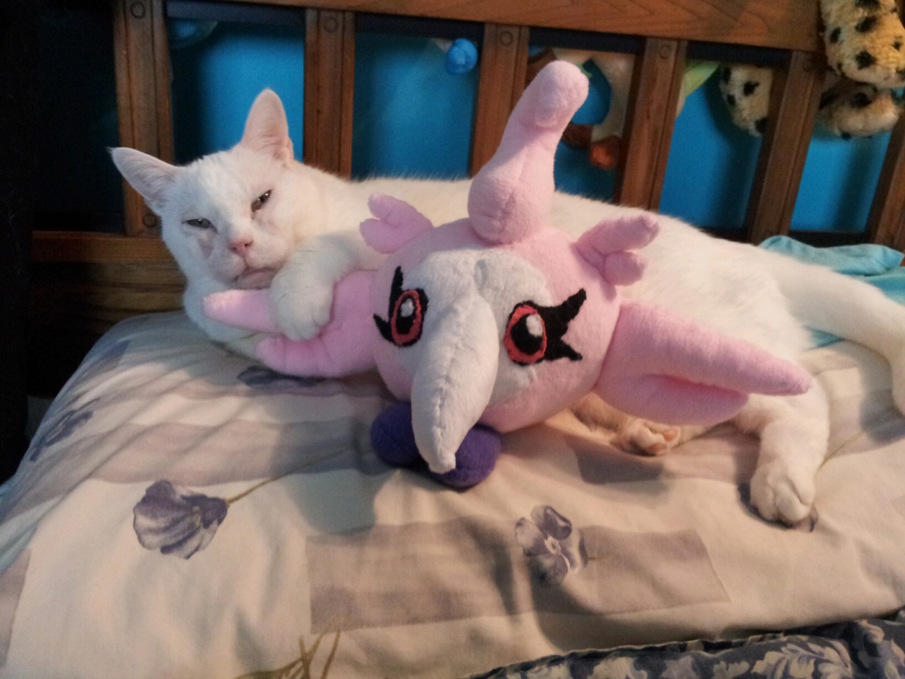 pokemonpalooza:  Just in case you have had a bad day and need photos of a cat cuddling