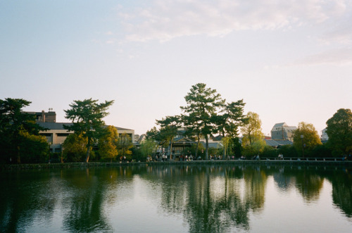 Nara,April 2017