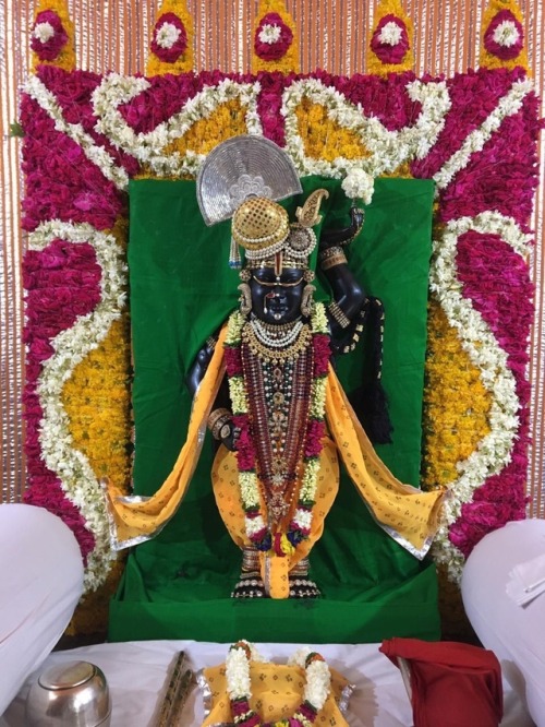 buzz-london:ShriNathji in Baroda
