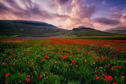 woodendreams:  Castelluccio Di Norcia, Italy by Luca Libralato