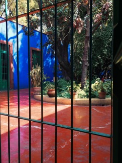 licca-quintero:  Museo Frida Kahlo (casa azul)Noviembre 2014