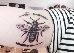 Fuckyeahtattoos: Bee And Lavender Done By Luci At Tatouage Royal In Montreal.  