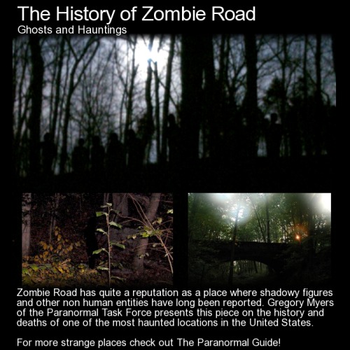 theparanormalguide:The History of Zombie Road - Ghosts and Hauntings - Zombie Road is well known f