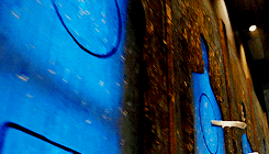 queerfour:  Why would I be nervous? We just decide the rest of our lives. 