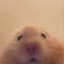 deadinsidetm