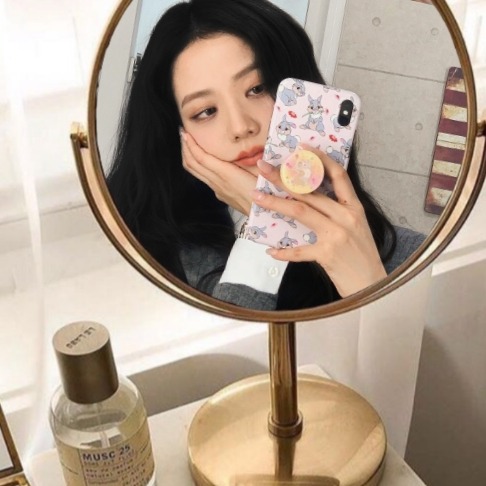 Mirror Selfie Icons