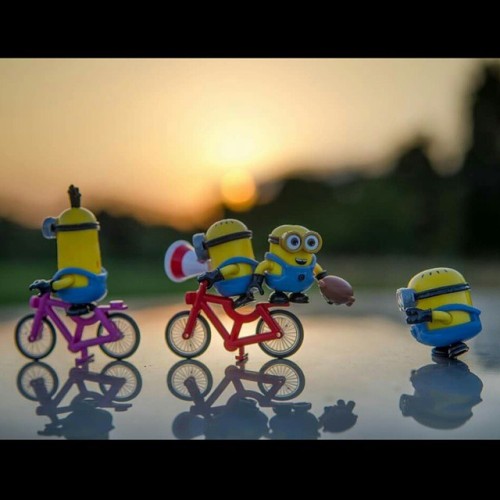 patsonphotos: Fun in the sunset…a little bycicle tour…. #minions #bike #sunset #megabloks #lego #bri