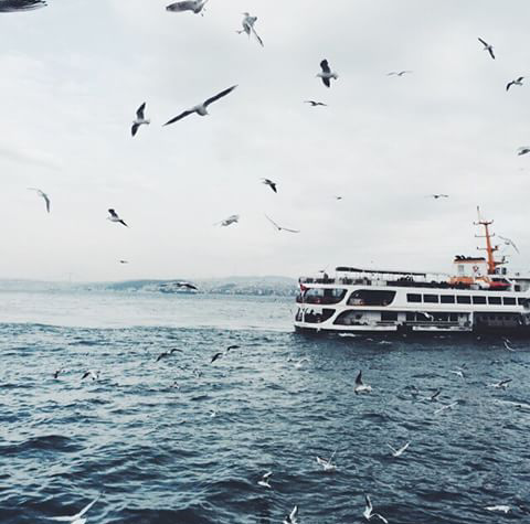 neyynanana:Martılar kadar özgür olabilmek isterdim. Uçuyorum diyebilmek…