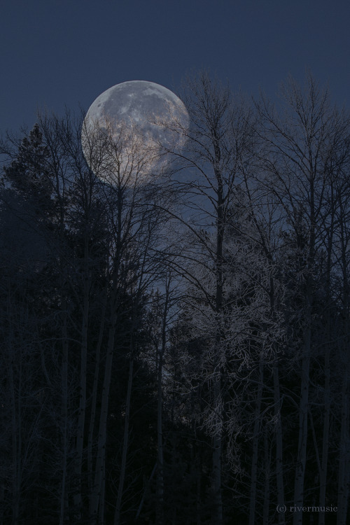 The Moon through a crystal forest: © riverwindphotography, December 2020