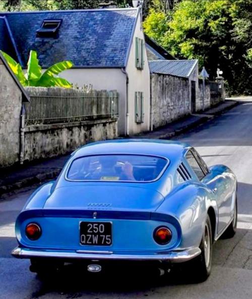 frenchcurious:Ferrari 275 GTB 07347 1965.