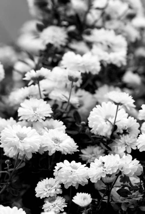 varnuak:  VARNƱAK | via Tumblr on We Heart It.