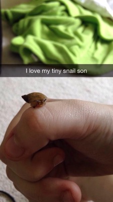mudkipful:  suck-my-otaku-ass:  gayswimlord:  Reasons not to add me on snapchat:  What do you mean? I want to know more about you tiny snail son  did he graduate