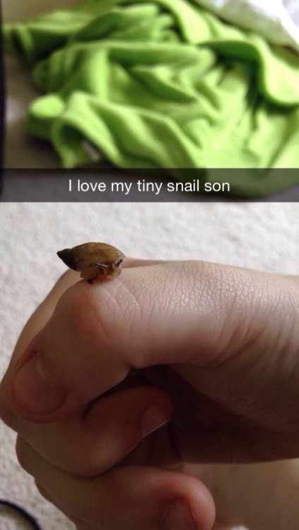 mudkipful:  mudkipful:  suck-my-otaku-ass:  gayswimlord:  Reasons not to add me on snapchat:  What do you mean? I want to know more about you tiny snail son  did he graduate   i can see toriel doing this before frisk came along 