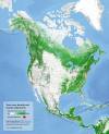 Tree cover and urban areas of North America.