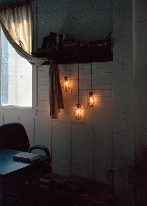 delacroi:  (by browncardigan)
