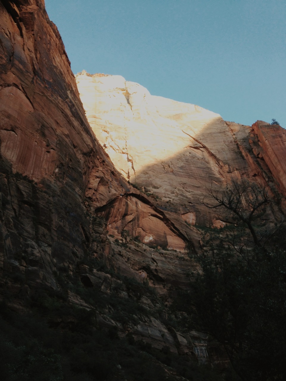 grumpygrizzlies:  Zion National Park in Utah   Been there
