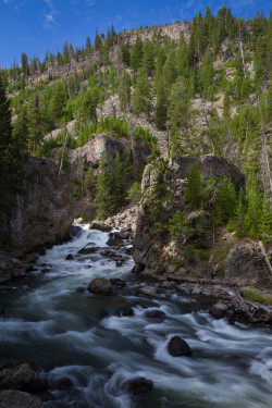 maximiliangreiner:  Firehole River, Yellowstone