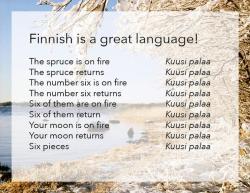 mickeyandmumbles: Do you want to learn Finnish?