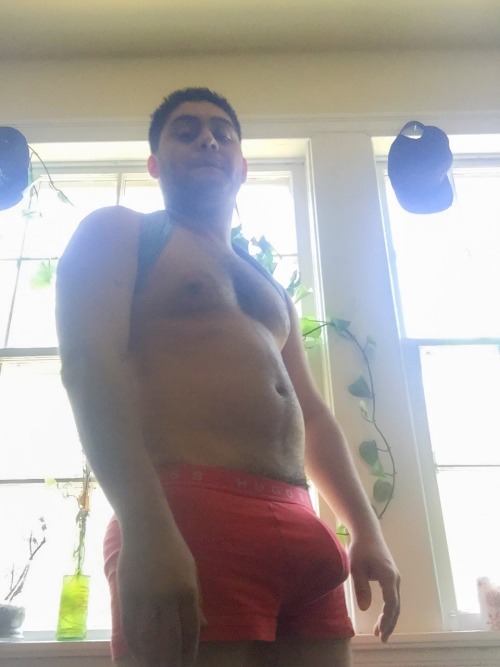 triforcepup:  Bulgy