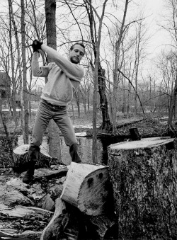  Paul Newman photographed by Philippe Halsman