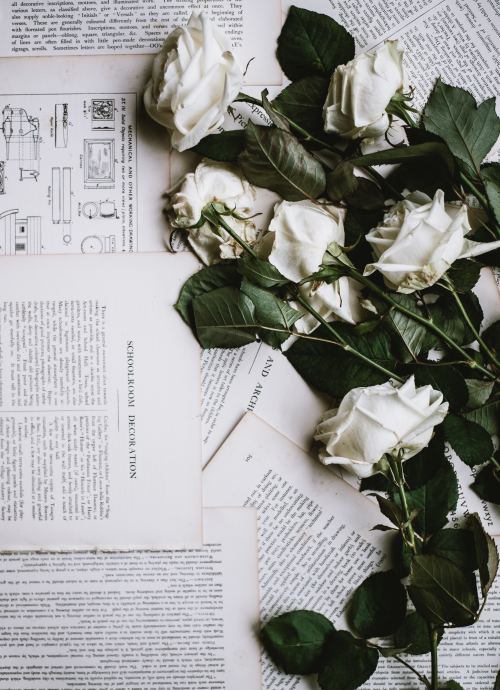 awo:Photo by Annie Spratt on Unsplash