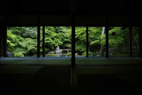 japan-overload:quiet gardenby Yoshi Shimamura