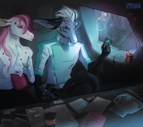 passing the checkpoint. Sicar story stuff.