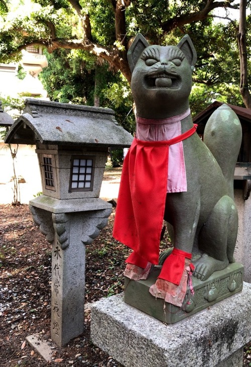 Hill of Foxes - Inari Betsuin Temple Akasaka (豊川稲荷東京別院) Toyokawa by kobalt