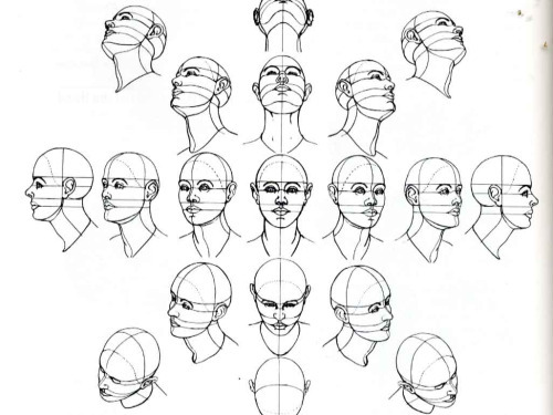 Tumbl'n with Kt — anatoref: Head Rotation Top Image Row 2 Row 3...