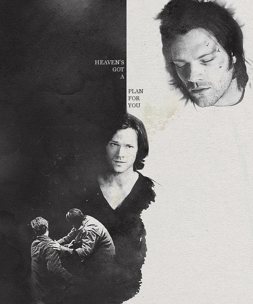 waywarders:  don’t you worry child 