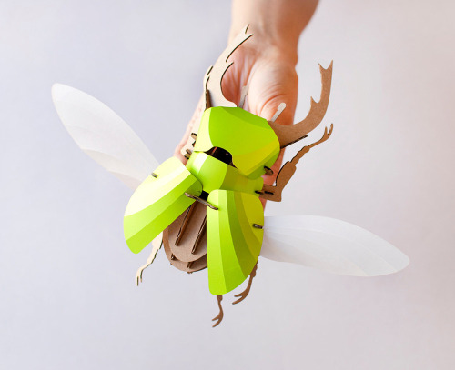 itscolossal: DIY Paper Beetle Sculpture Kits by Assembli