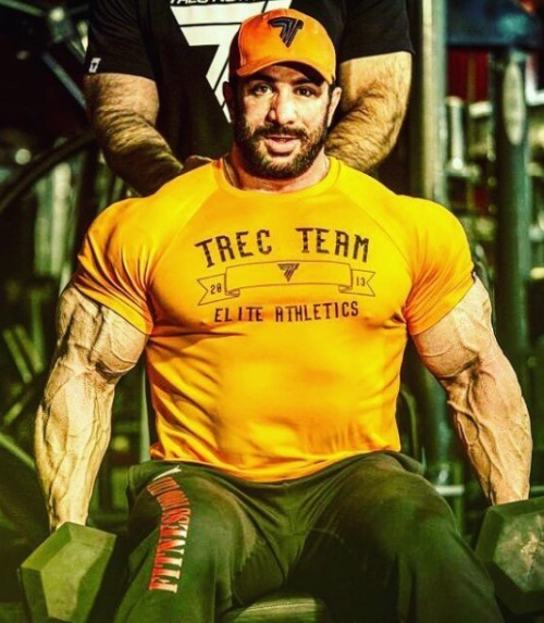 worshipalphamales: pjsesq:  Mojtaba Notarki What a hairy ape. Holy Christ.   FUCK. ME. 