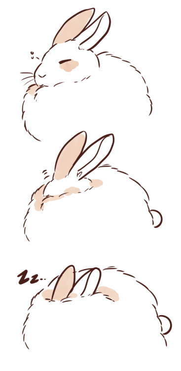 ponpekopon:sleepy bunny *:｡(´ㅅ`    )