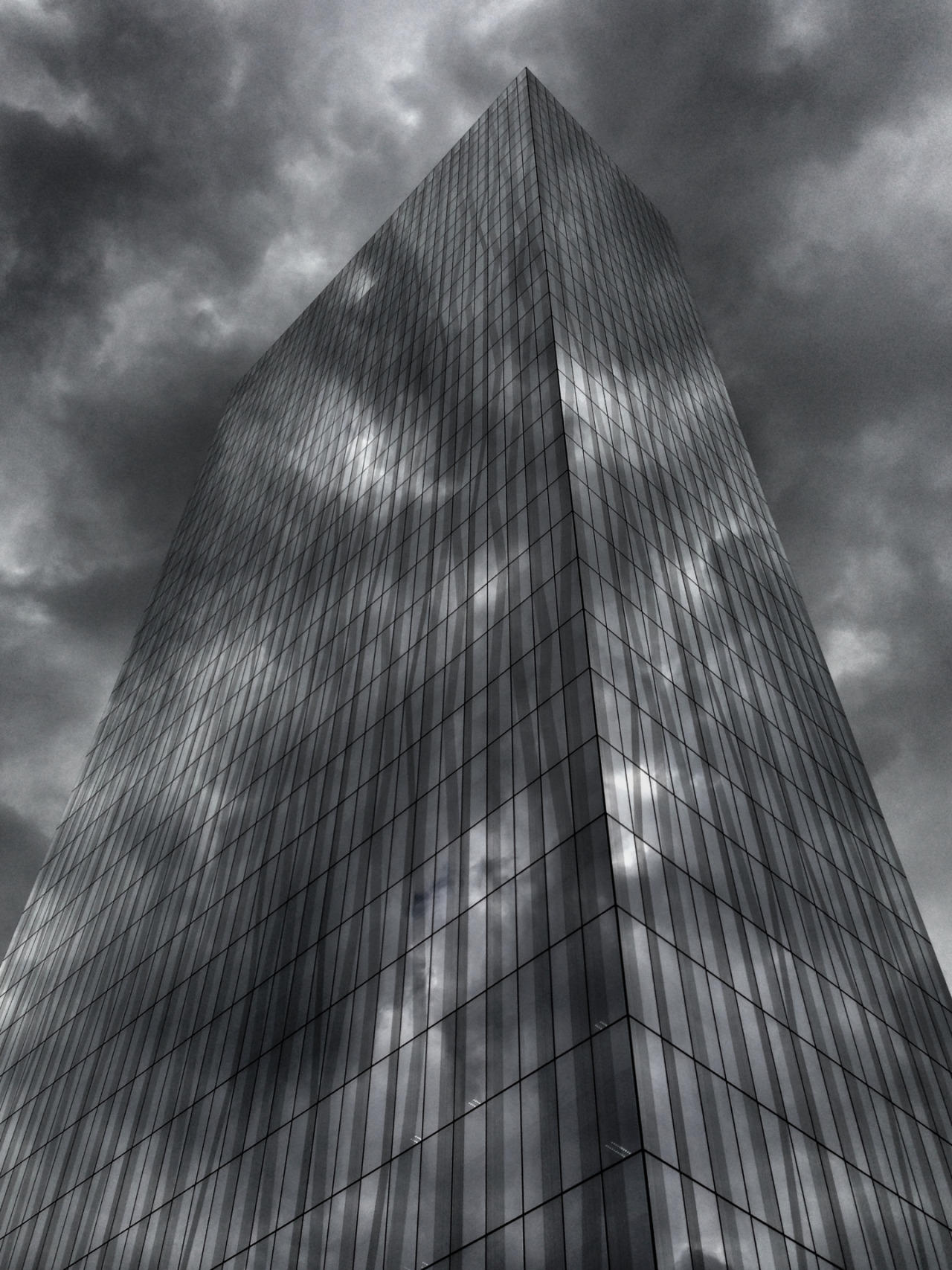 espejophoto:  Mordor 2013 