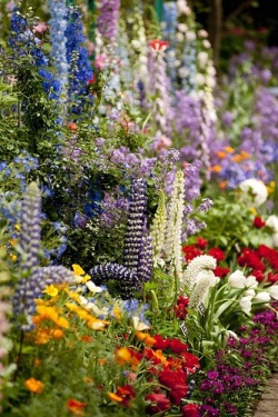 audreylovesparis:  Claude Monet’s gardens, Giverny, France