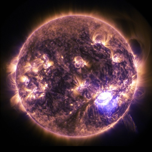 just–space:NASAs Solar Dynamics Observatory captured this image of a significant solar flare a