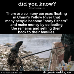 did-you-kno:  There are so many corpses floating in China’s Yellow River that many people become “body fishers” and make money by collecting the remains and selling them back to their families.   Source