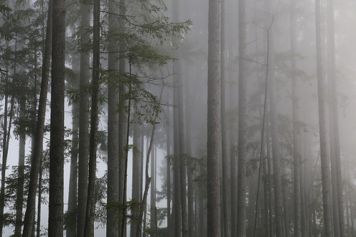 Dimly Lit by cookinghamus on Flickr.