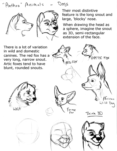 shadow-the-kitsune-coffeeshop:  How to draw anthro heads By Kelly | June 4, 2007