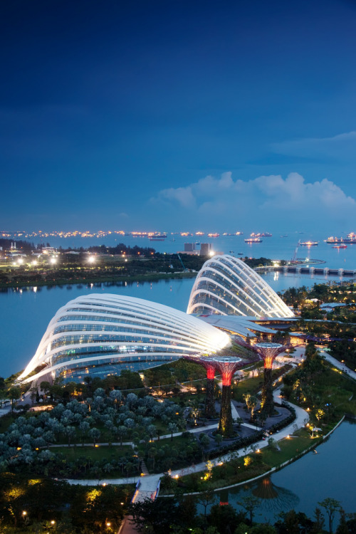 cornersoftheworld:  Gardens by the Bay, Singapore | by Kokkai Ng 
