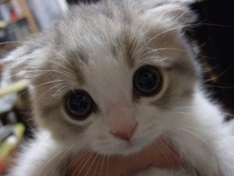 nartress:  Aww, someone needs a hug!